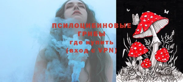 стафф Ростов