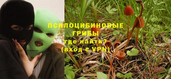 молекула духа Балабаново