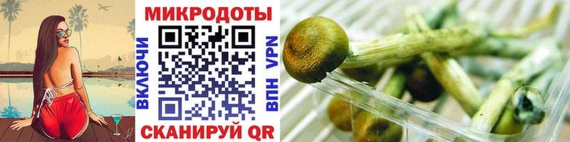omg ССЫЛКА  Высоцк  darknet Telegram  Псилоцибиновые грибы Cubensis 